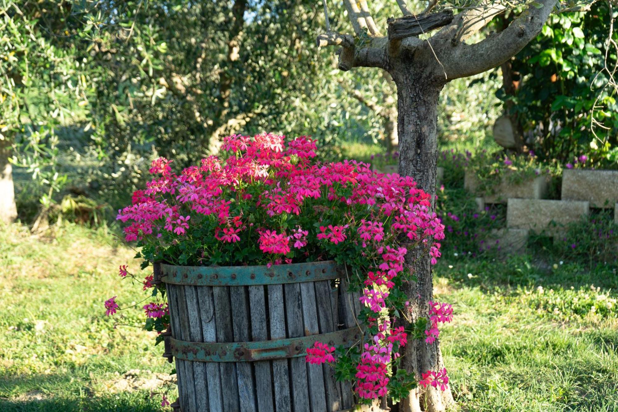 Relaxing Farmhouse San Marino Kültér fotó