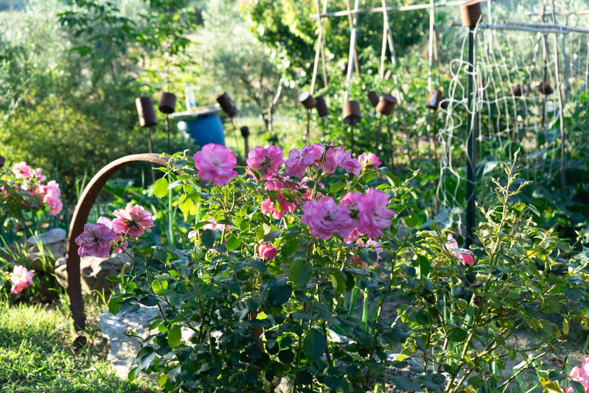 Relaxing Farmhouse San Marino Kültér fotó
